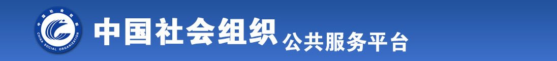 干屄com全国社会组织信息查询